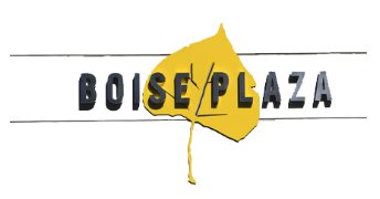 Screenshot 2025-07-03 at 11.33